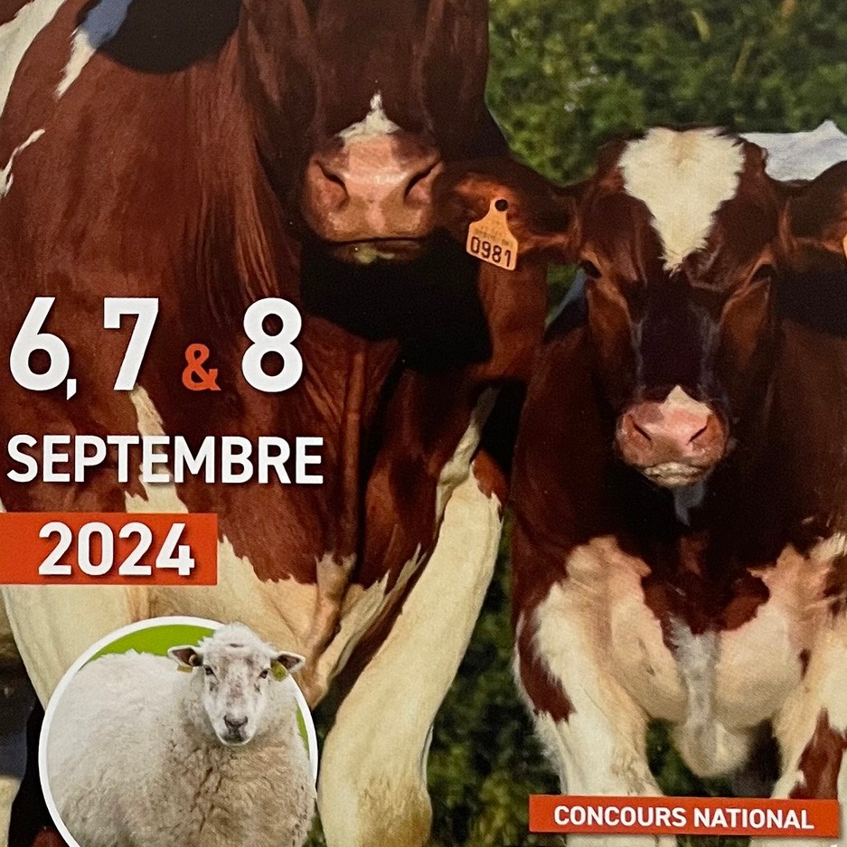 Festi’Elevage 2024